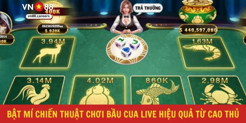Bật mí chiến thuật chơi bầu cua live hiệu quả từ cao thủ