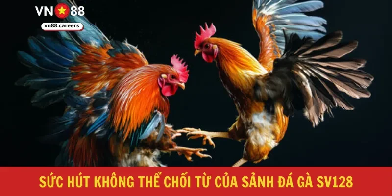 Sức hút không thể chối từ của sảnh đá gà sv128